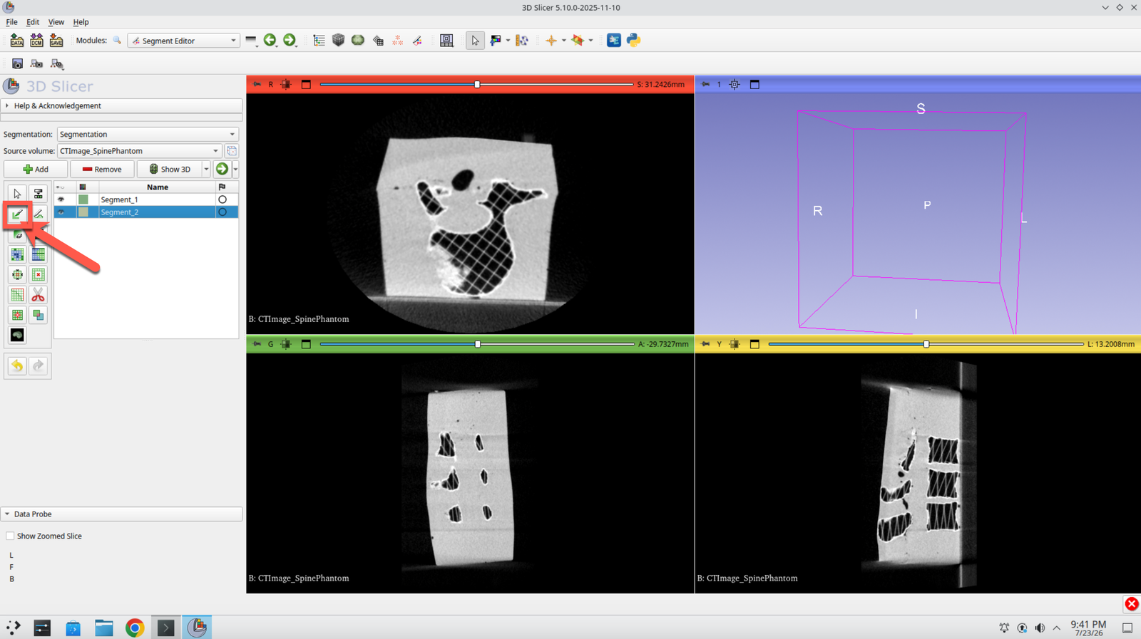 Segment Editor with the Paint effect selected