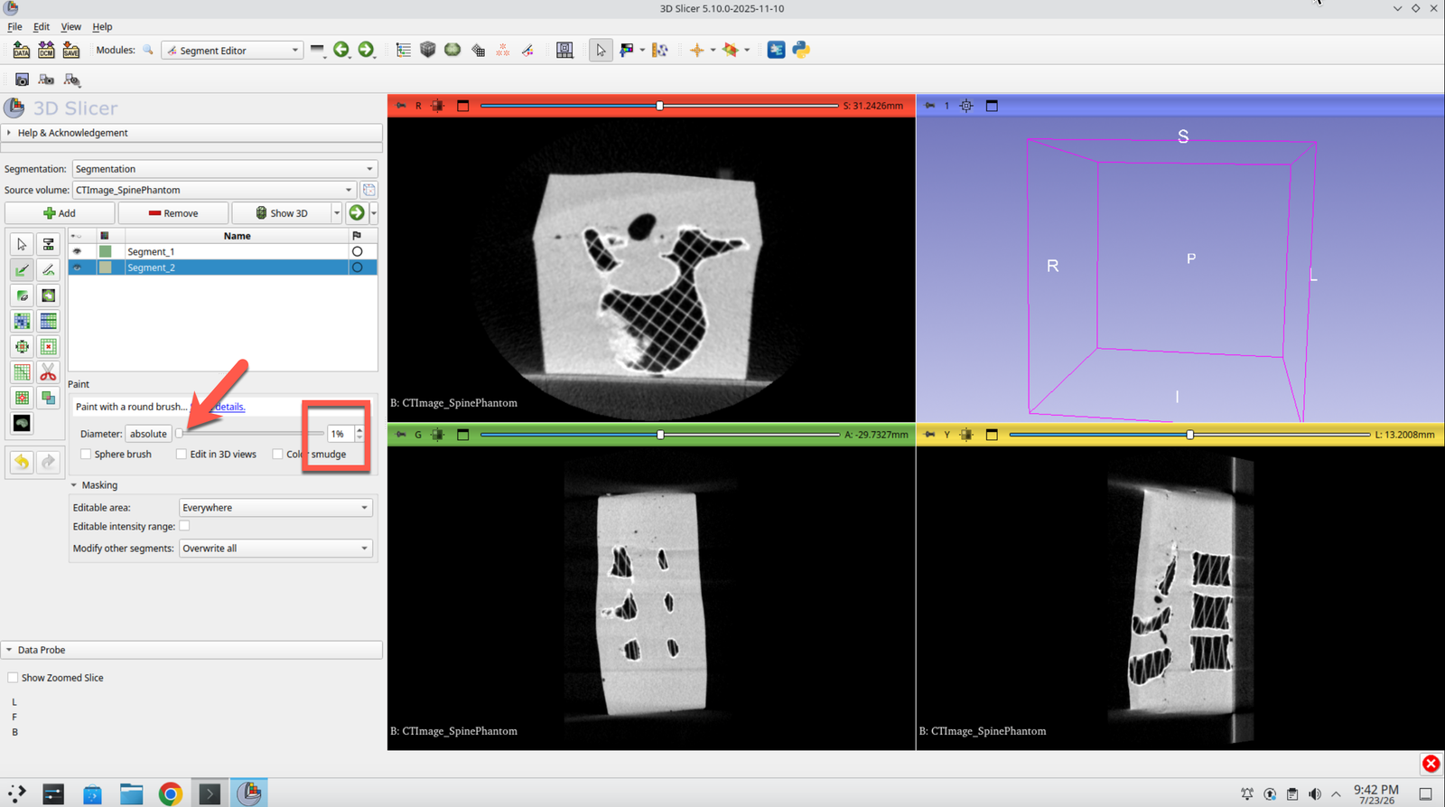 Segment Editor paint options with the brush diameter set to 1 percent