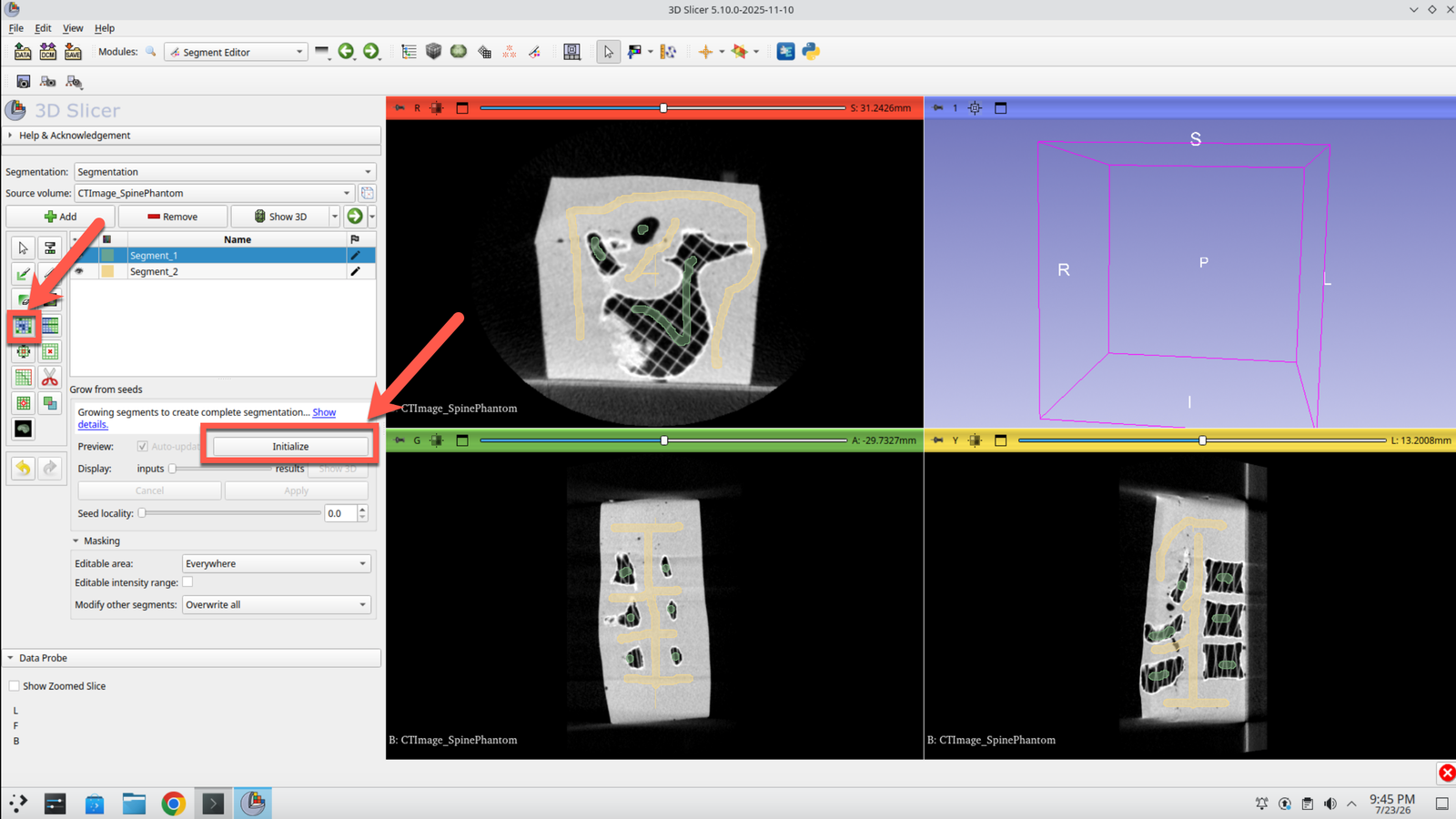 Segment Editor with the Grow from seeds effect selected and initializing