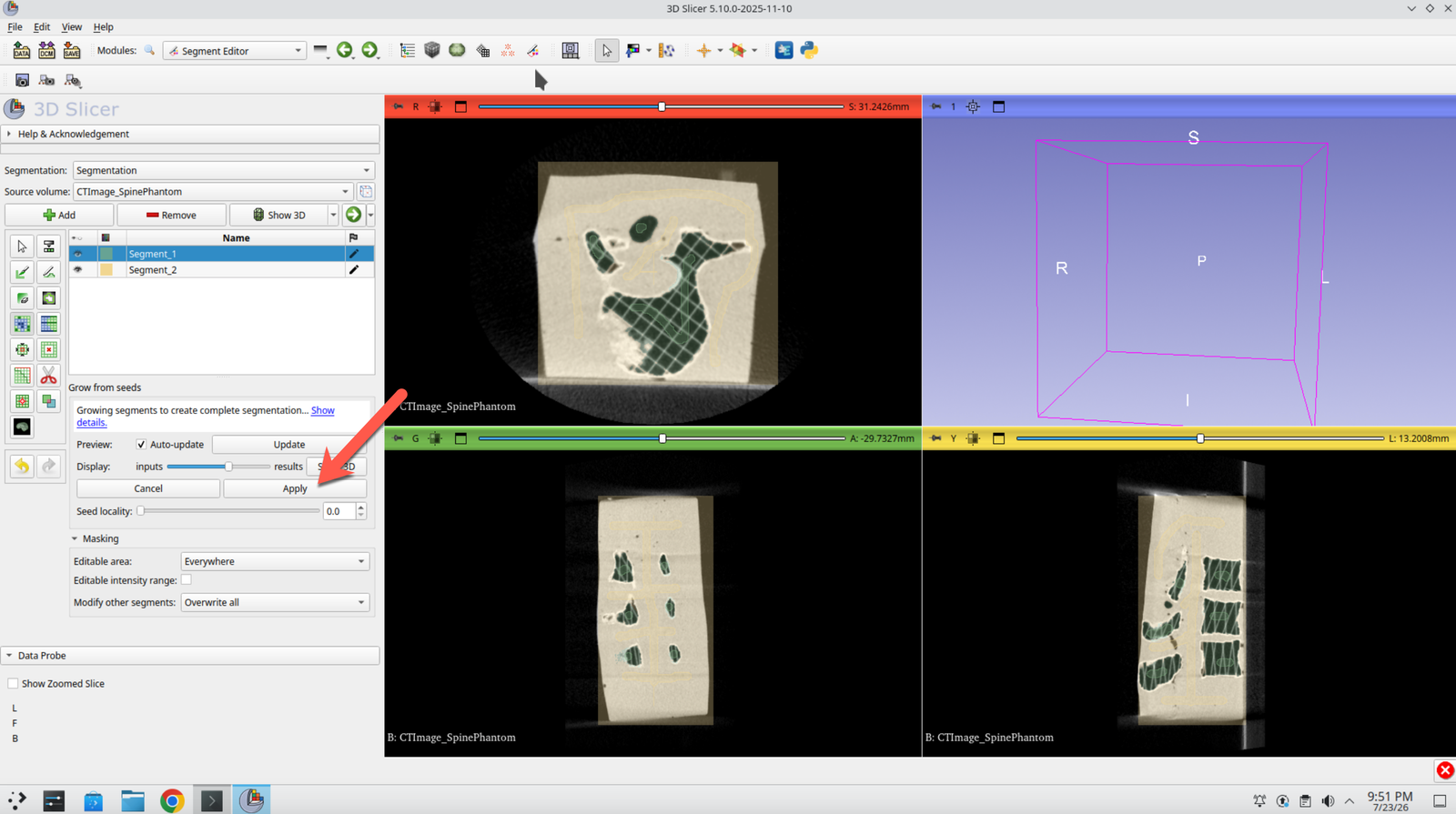 Segment Editor showing the completed grow-from-seeds result with the Apply button