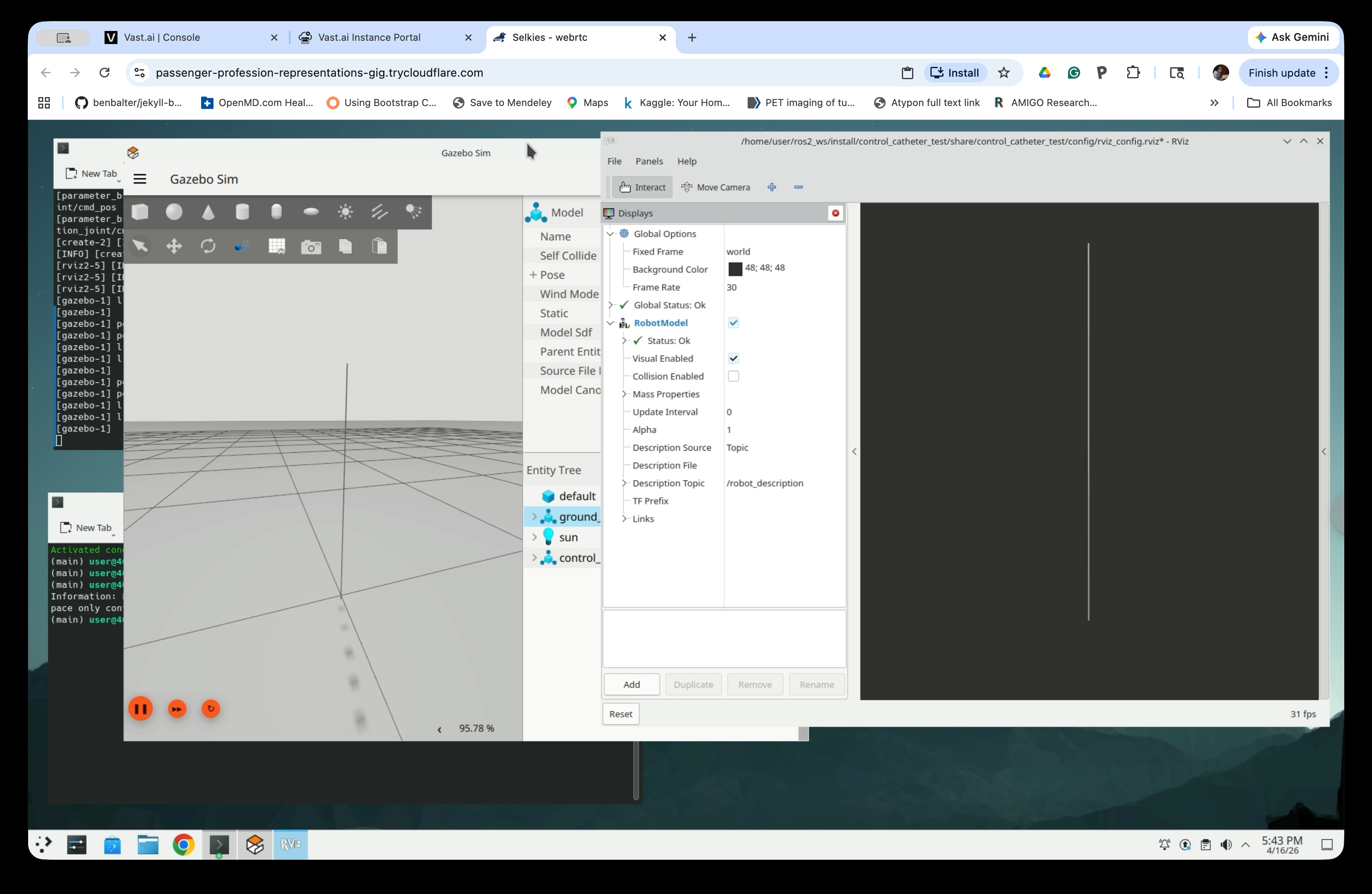 Zoomed-in views showing the catheter in Gazebo and RViz