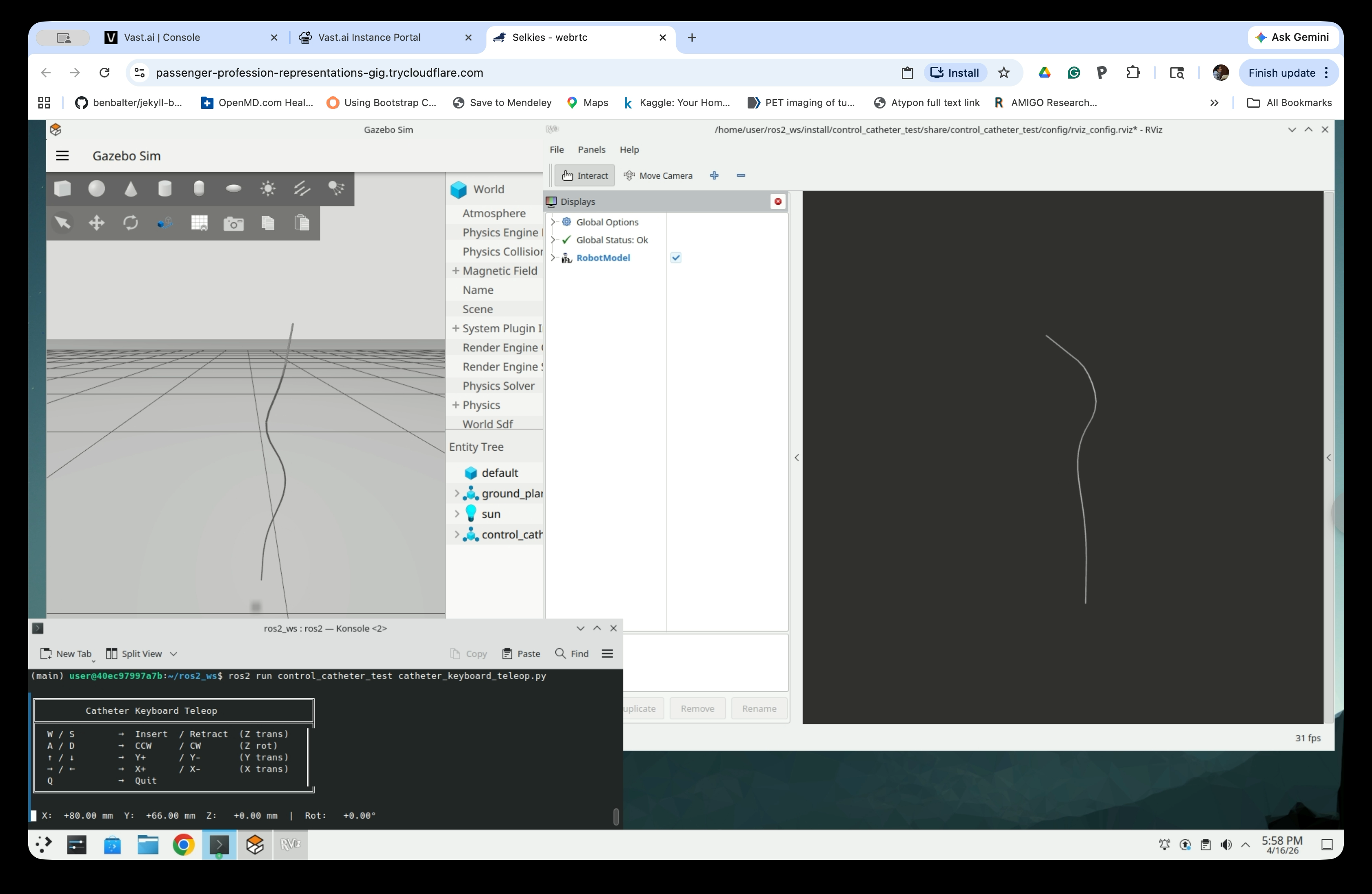 Gazebo, RViz, and teleop terminal all visible with updated catheter model