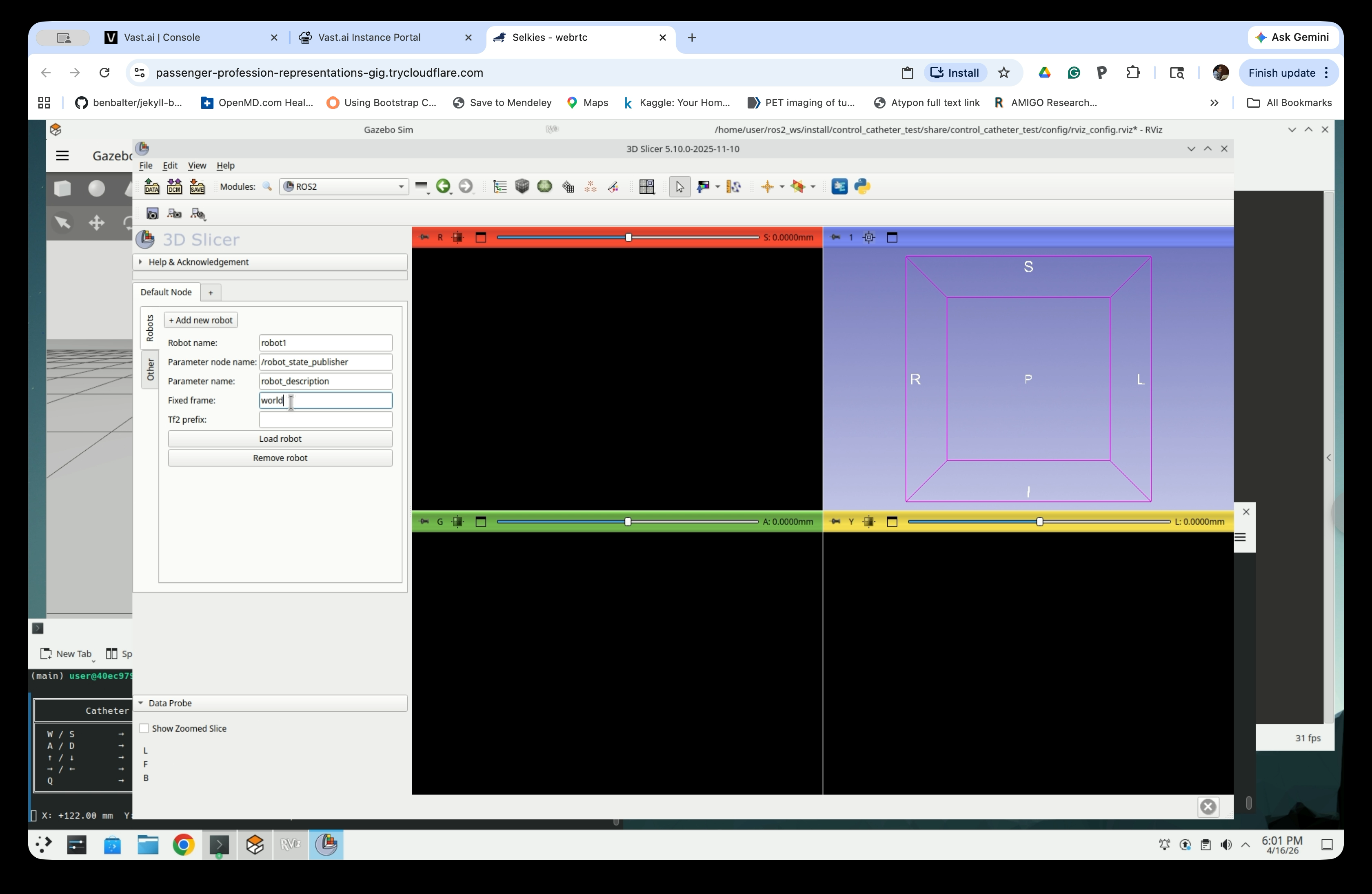 ROS2 module robot configuration form with world entered in Fixed frame