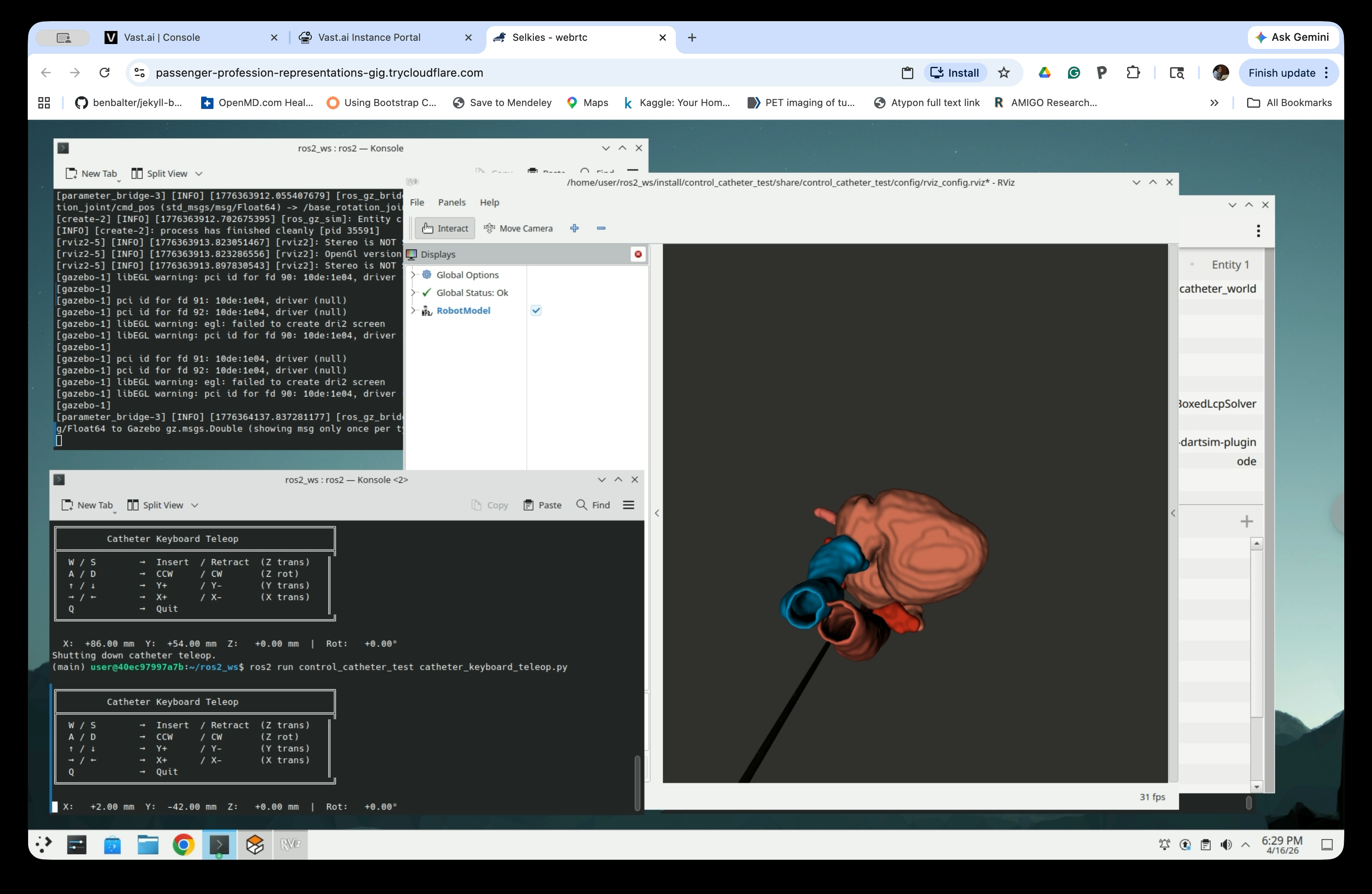 RViz showing catheter inserted into the heart anatomy from below, bending inside the vessel