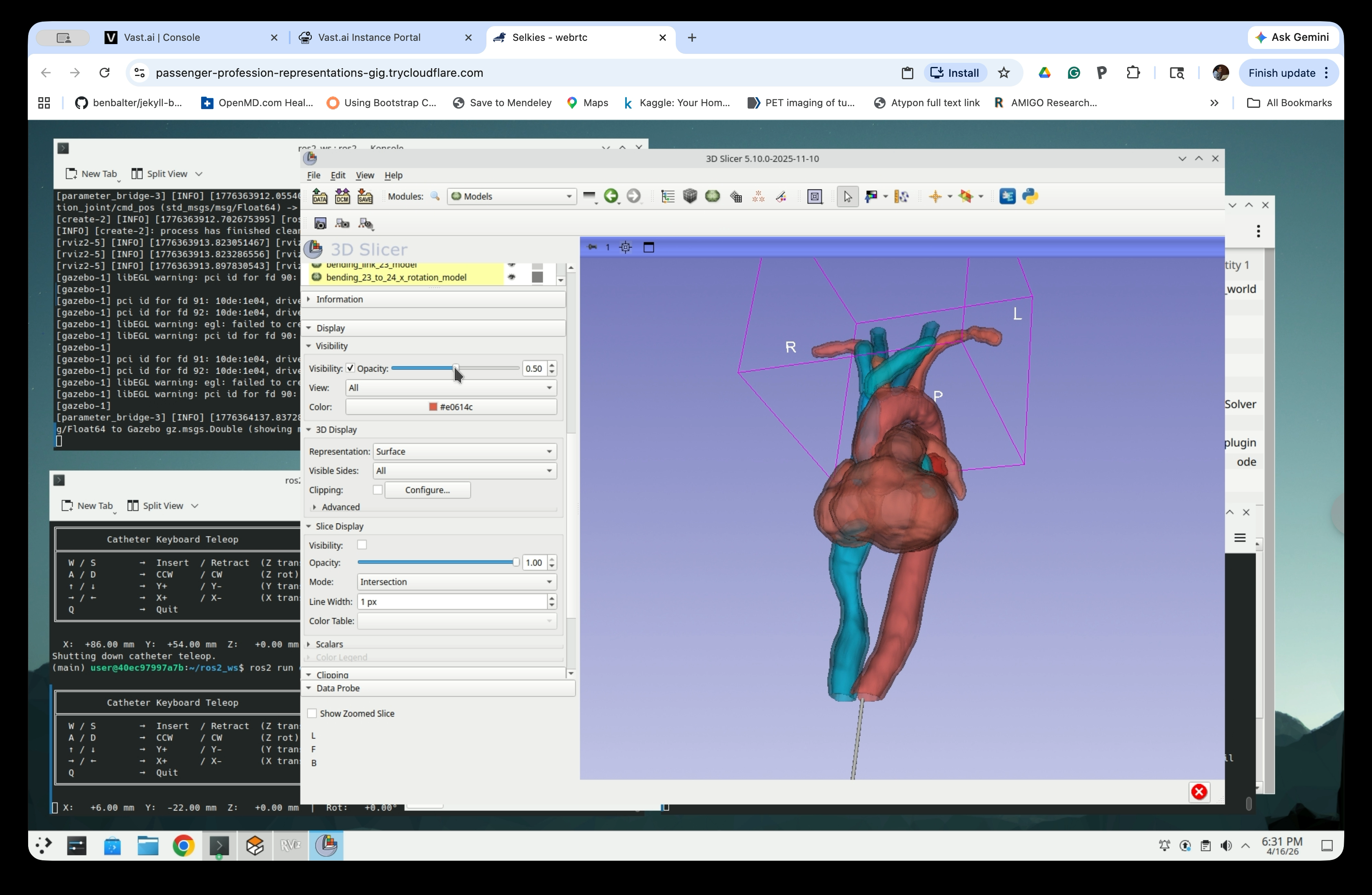 Models module with a model selected and the Opacity slider visible in the Display panel
