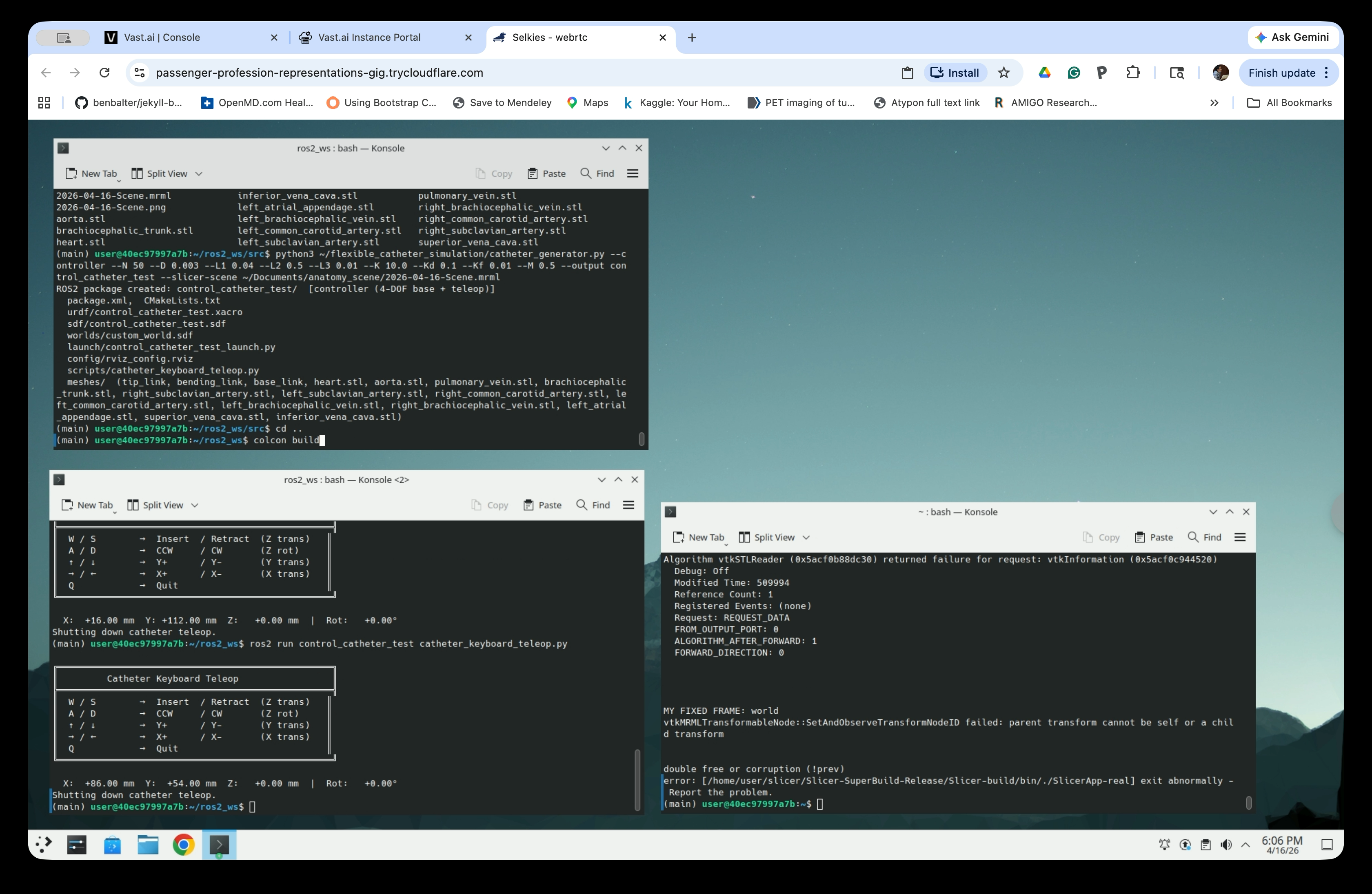 Terminal showing the full list of generated anatomy and catheter files, followed by colcon build starting