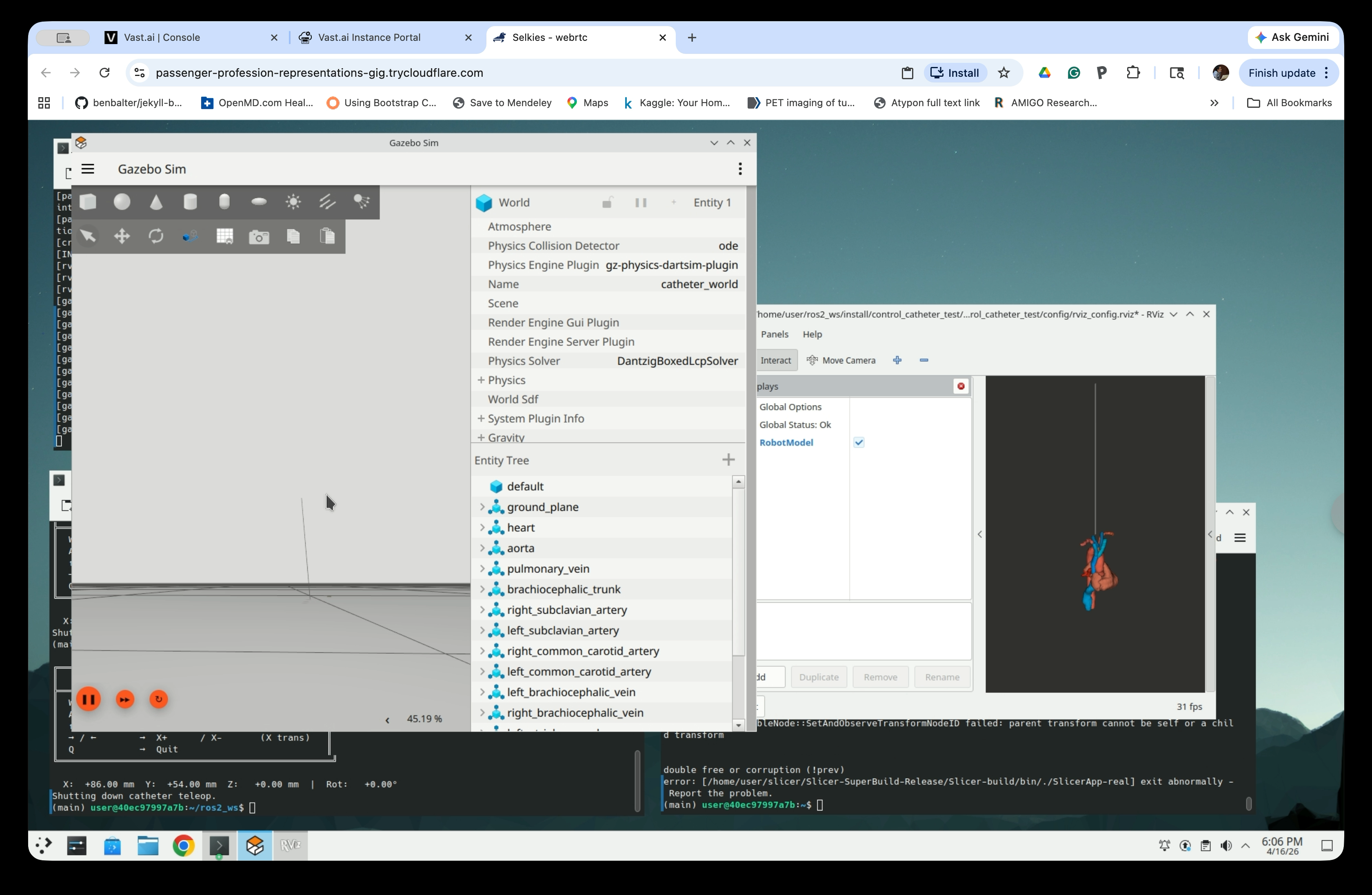 Gazebo zoomed in showing catheter line alongside the anatomy