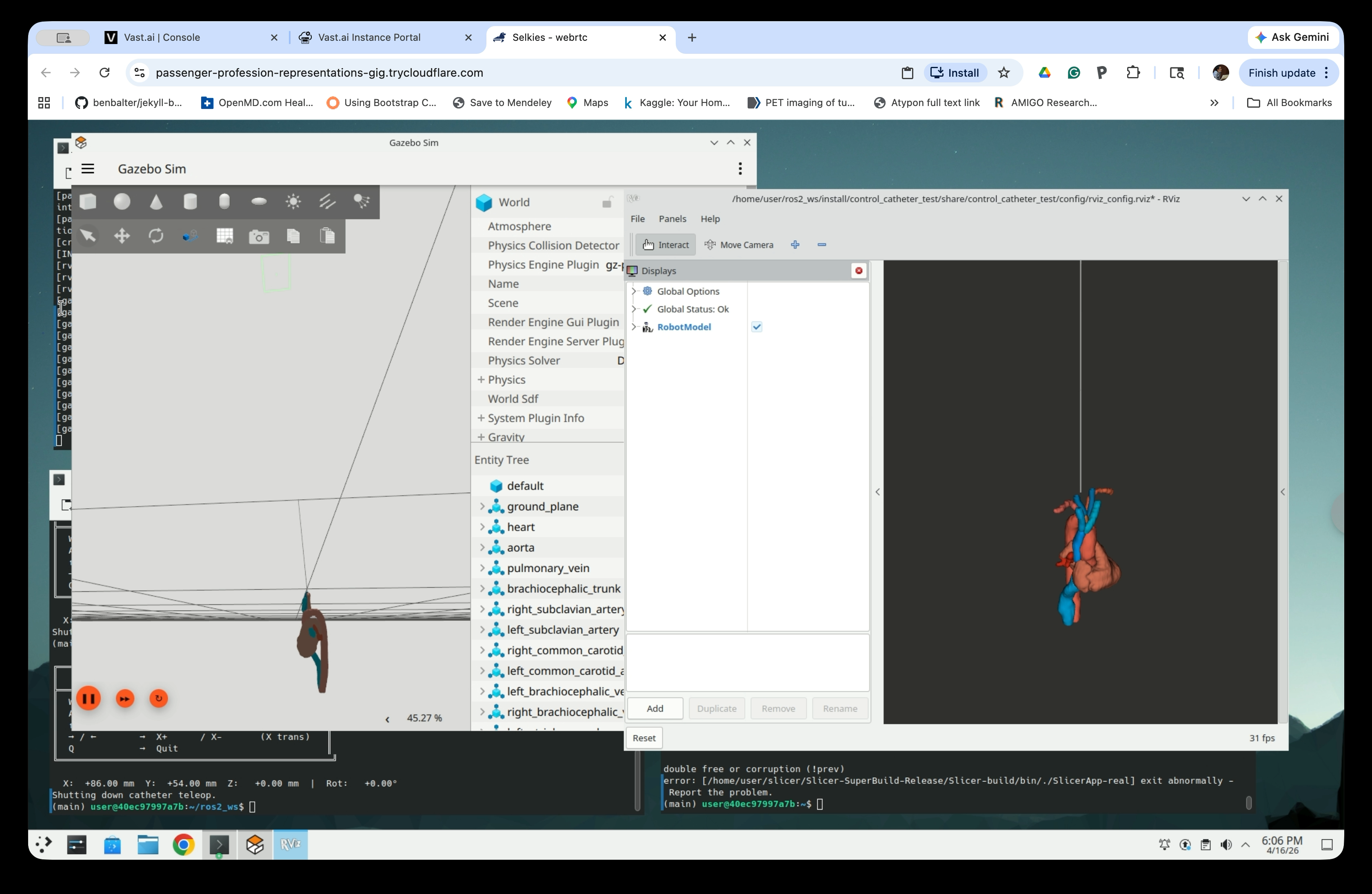 RViz zoomed view showing heart and vessels with catheter entering from below