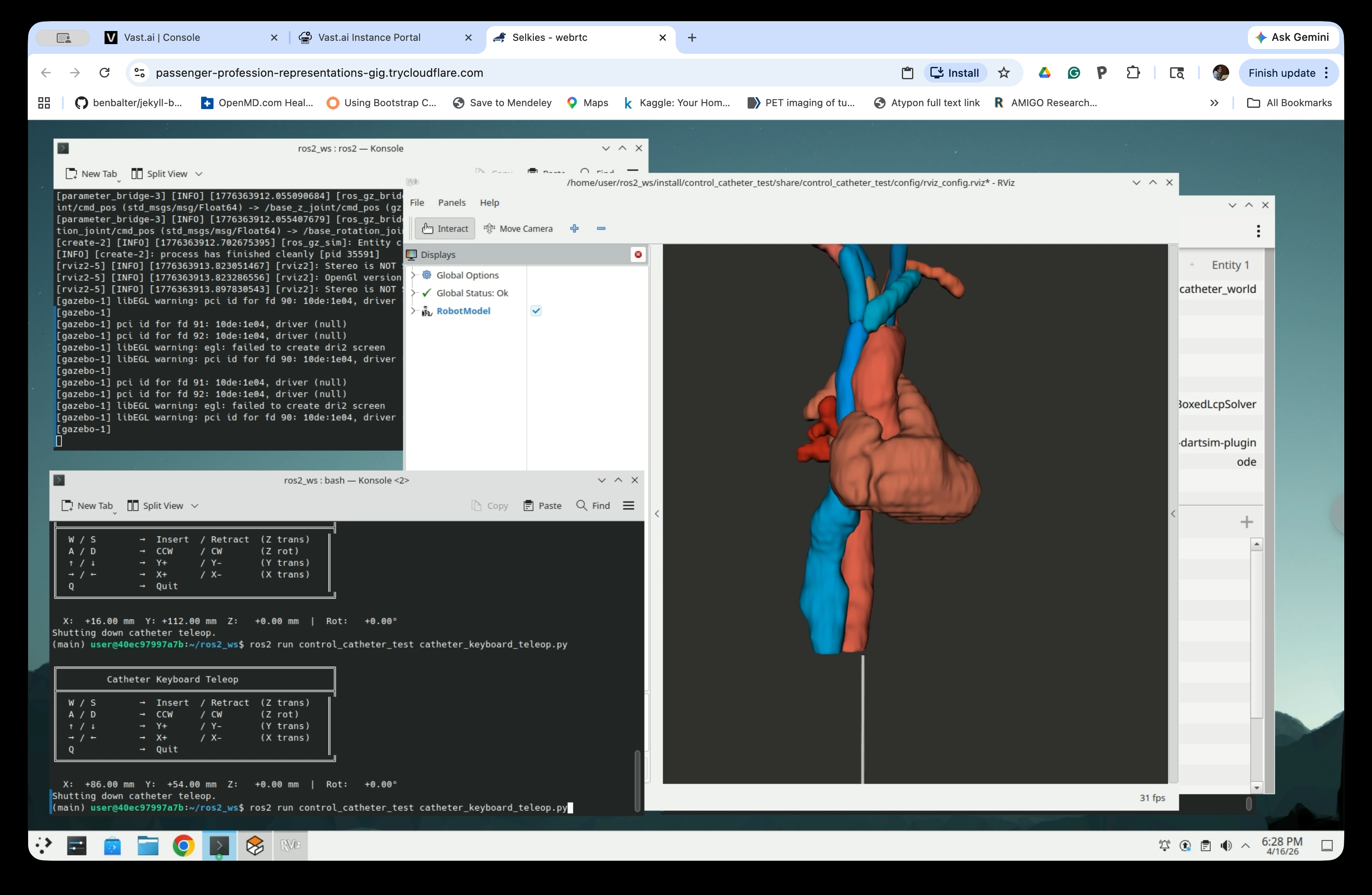 RViz showing anatomy from above with catheter starting below, second terminal launching teleop
