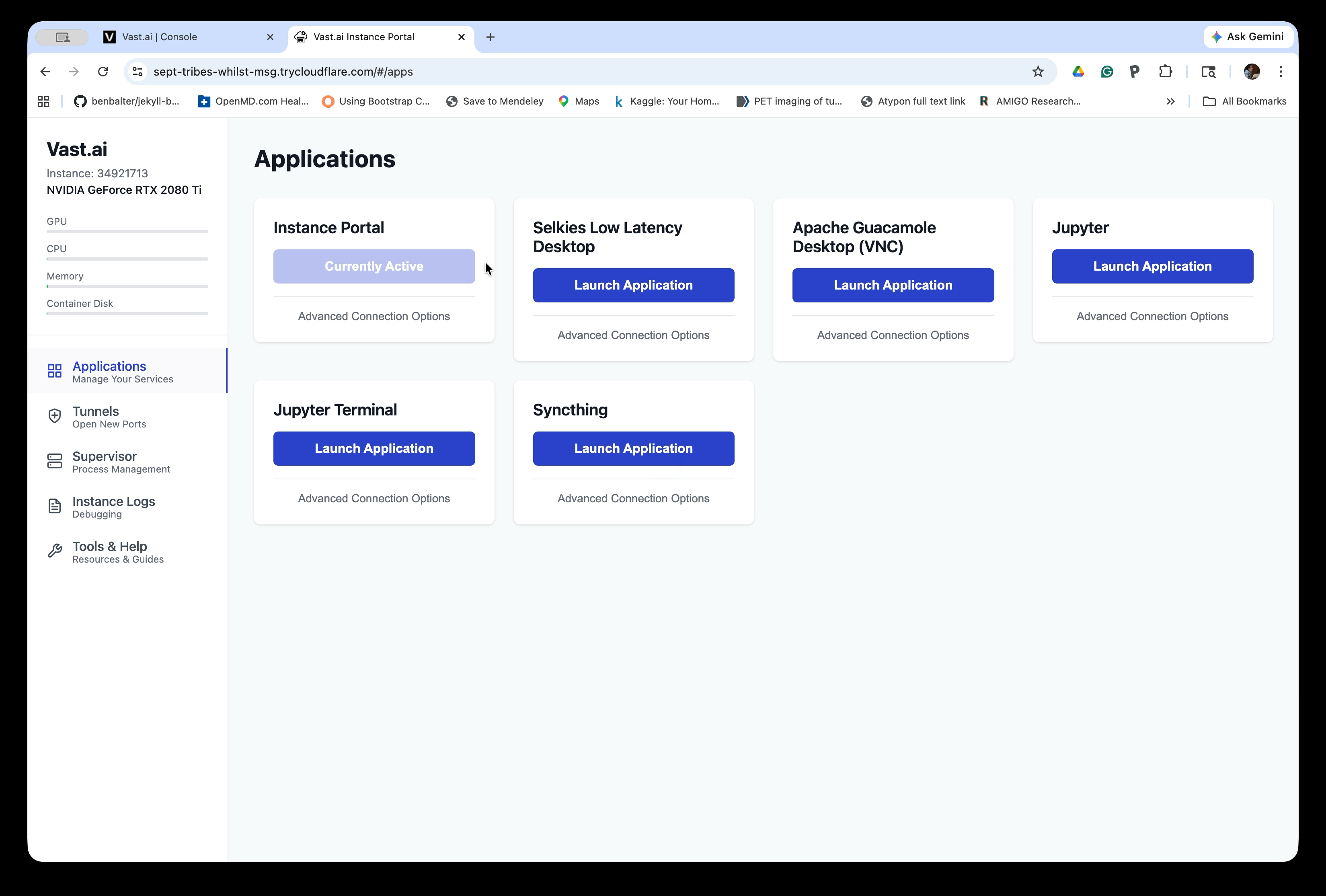 Instance Portal Applications page
