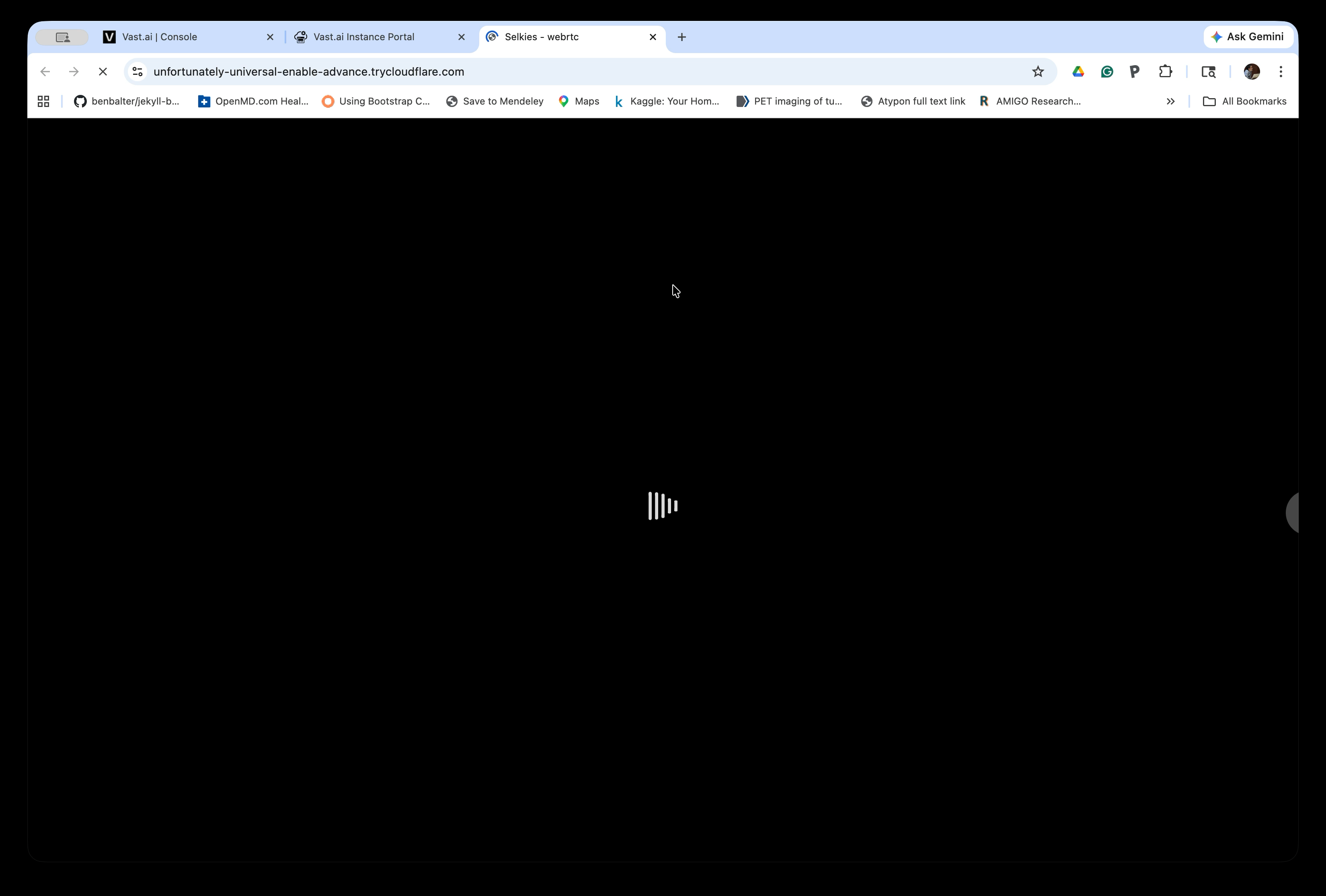 Selkies loading in a new tab