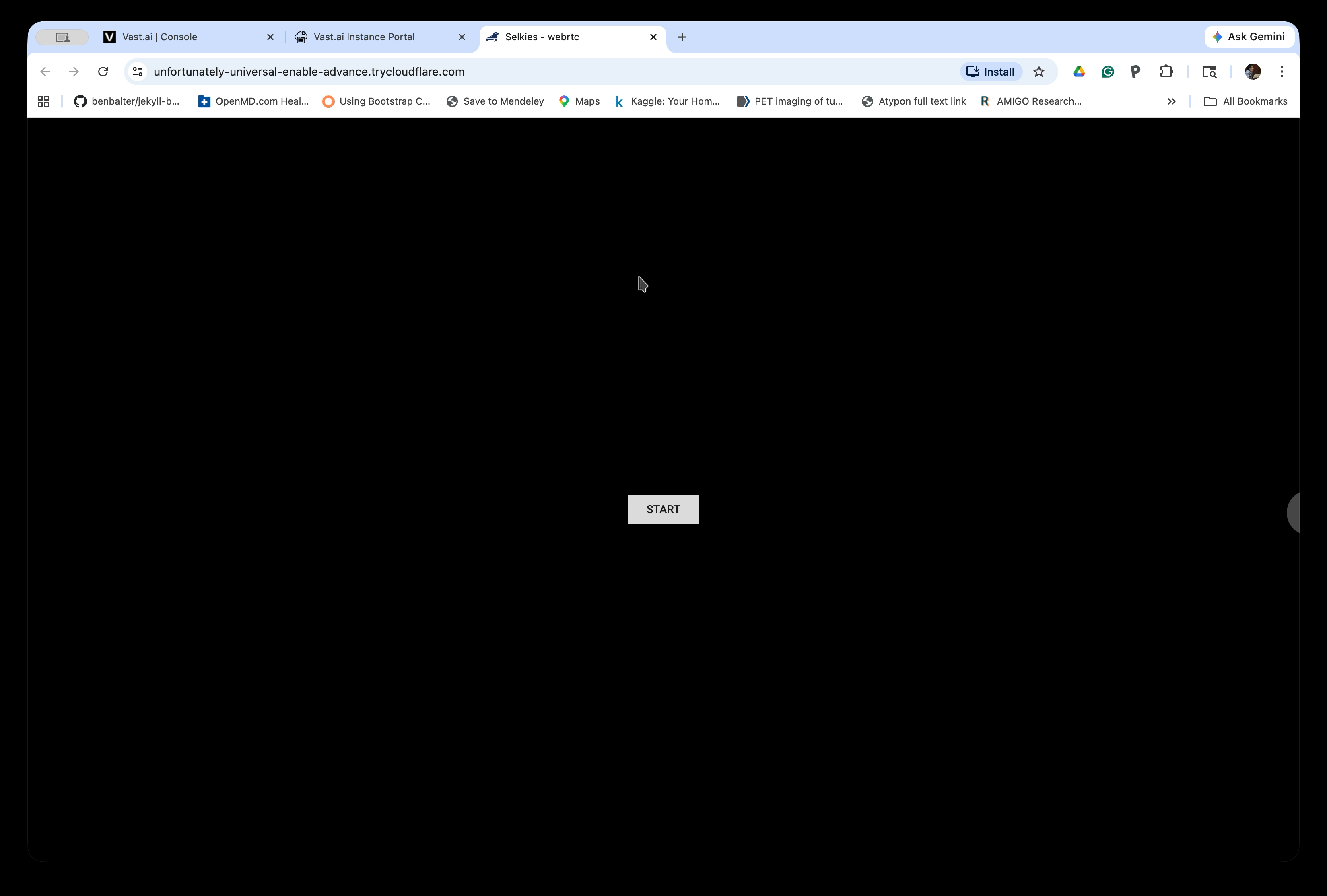 Selkies ready with the START button